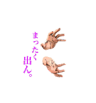リアルハンド（イラスト風）（個別スタンプ：39）