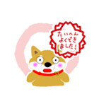 父のよく使うメッセージ（個別スタンプ：10）