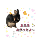 うさぎのりんちゃん（個別スタンプ：8）