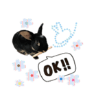 うさぎのりんちゃん（個別スタンプ：9）