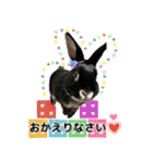 うさぎのりんちゃん（個別スタンプ：13）