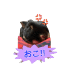うさぎのりんちゃん（個別スタンプ：14）