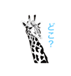 薫stamp（個別スタンプ：14）