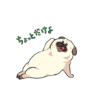 パグの夢2（個別スタンプ：8）