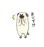 パグの夢2（個別スタンプ：14）