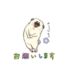 パグの夢2（個別スタンプ：32）