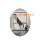 うちのねこ♡♡（個別スタンプ：9）