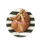 うちのねこ♡♡（個別スタンプ：10）