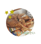 うちのねこ♡♡（個別スタンプ：12）
