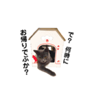 それいけ でしまし若王子＆ファミリー（個別スタンプ：21）