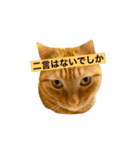それいけ でしまし若王子＆ファミリー（個別スタンプ：30）