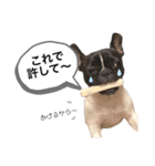 フレブル こなつ3（個別スタンプ：4）