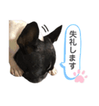 フレブル こなつ3（個別スタンプ：16）