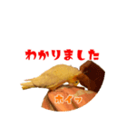 私のかわいいオカメインコ（個別スタンプ：4）