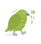 ニュージーランドの鳥 1（個別スタンプ：3）