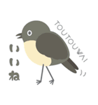 ニュージーランドの鳥 1（個別スタンプ：4）