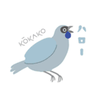 ニュージーランドの鳥 1（個別スタンプ：5）