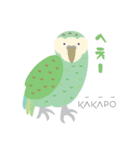 ニュージーランドの鳥 1（個別スタンプ：14）