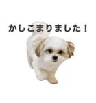 おもちとまる2（個別スタンプ：2）