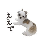おもちとまる2（個別スタンプ：12）