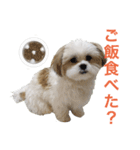 おもちとまる2（個別スタンプ：14）