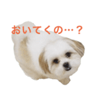 おもちとまる2（個別スタンプ：15）