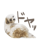 おもちとまる2（個別スタンプ：17）