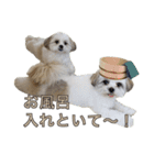 おもちとまる2（個別スタンプ：22）
