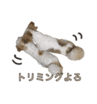 おもちとまる2（個別スタンプ：23）