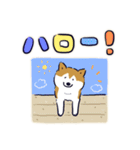 Every Day Dog しば犬 2020（個別スタンプ：2）