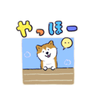 Every Day Dog しば犬 2020（個別スタンプ：3）