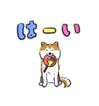 Every Day Dog しば犬 2020（個別スタンプ：5）