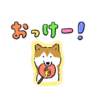 Every Day Dog しば犬 2020（個別スタンプ：6）