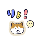 Every Day Dog しば犬 2020（個別スタンプ：7）