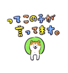 Every Day Dog しば犬 2020（個別スタンプ：8）