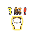 Every Day Dog しば犬 2020（個別スタンプ：10）