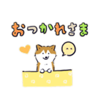 Every Day Dog しば犬 2020（個別スタンプ：12）