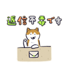 Every Day Dog しば犬 2020（個別スタンプ：15）