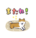 Every Day Dog しば犬 2020（個別スタンプ：16）