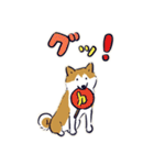 Every Day Dog しば犬 2020（個別スタンプ：17）