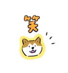 Every Day Dog しば犬 2020（個別スタンプ：18）