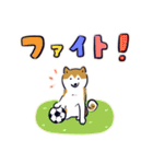 Every Day Dog しば犬 2020（個別スタンプ：19）