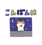 Every Day Dog しば犬 2020（個別スタンプ：20）