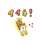 Every Day Dog しば犬 2020（個別スタンプ：22）