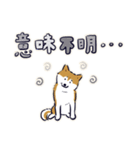 Every Day Dog しば犬 2020（個別スタンプ：23）