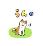 Every Day Dog しば犬 2020（個別スタンプ：24）