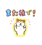 Every Day Dog しば犬 2020（個別スタンプ：27）