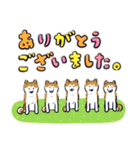 Every Day Dog しば犬 2020（個別スタンプ：28）