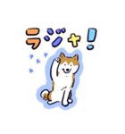 Every Day Dog しば犬 2020（個別スタンプ：30）