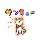 Every Day Dog しば犬 2020（個別スタンプ：33）